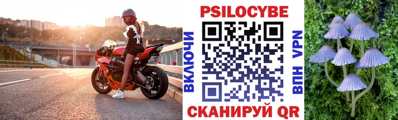 Псилоцибиновые грибы GOLDEN TEACHER  Курчатов 